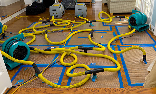 Professional Water Damage Repair technician working in Delaware, OK